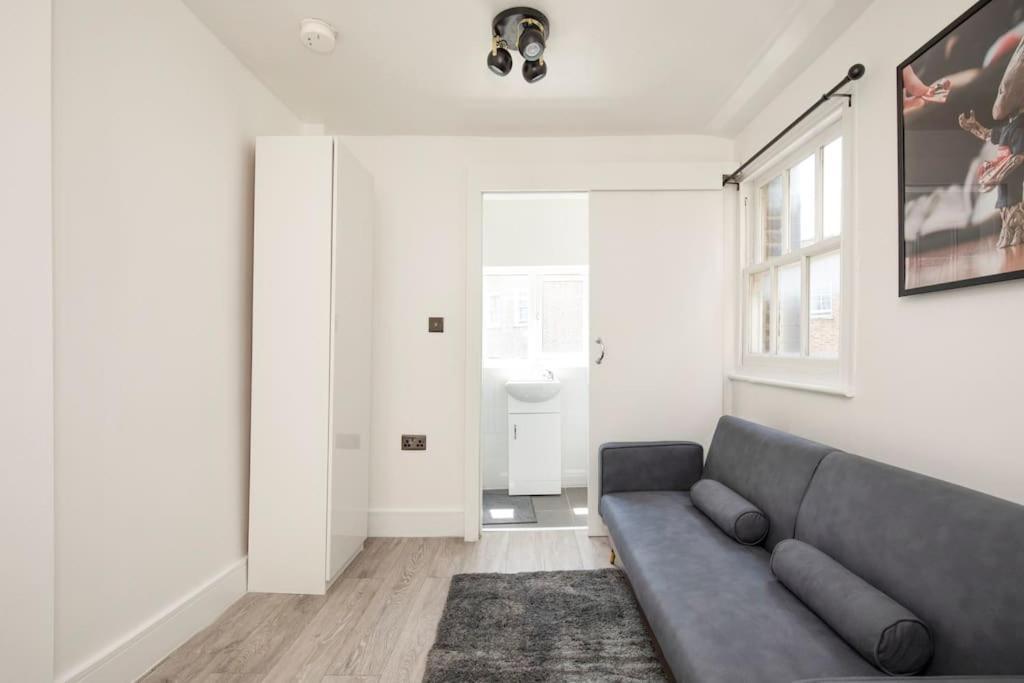 Spacious Serenity In The Heart Of Central London Eksteriør bilde